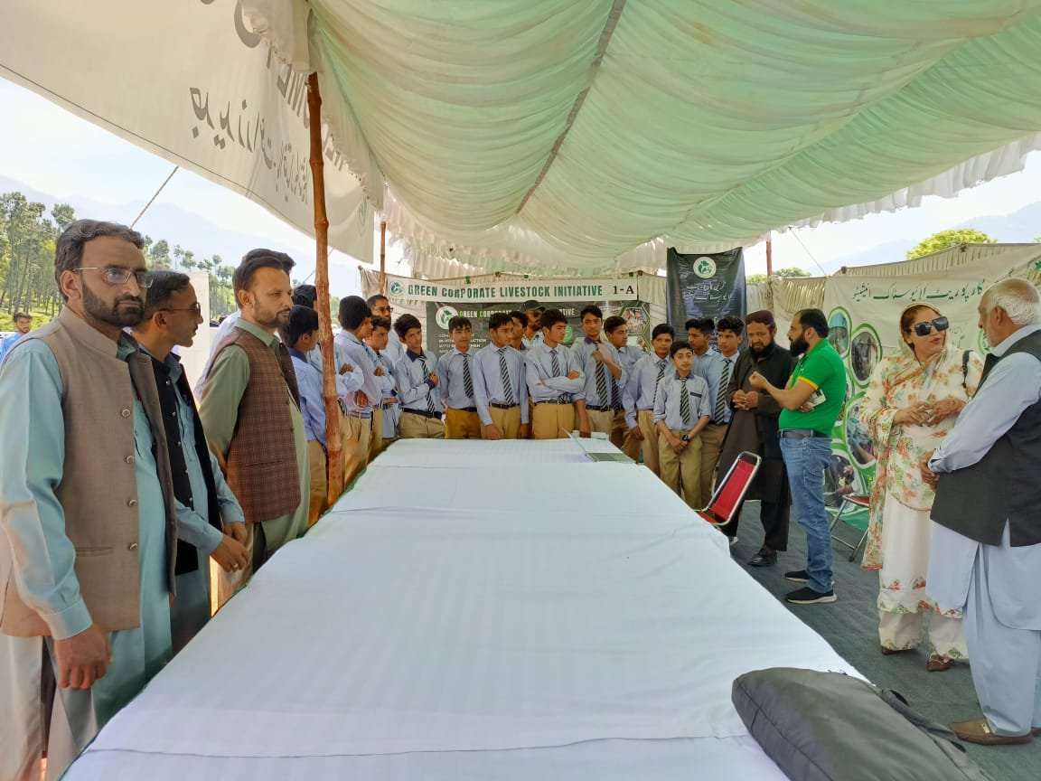 Students at the Green Corporate Livestock Initiative event under a tent