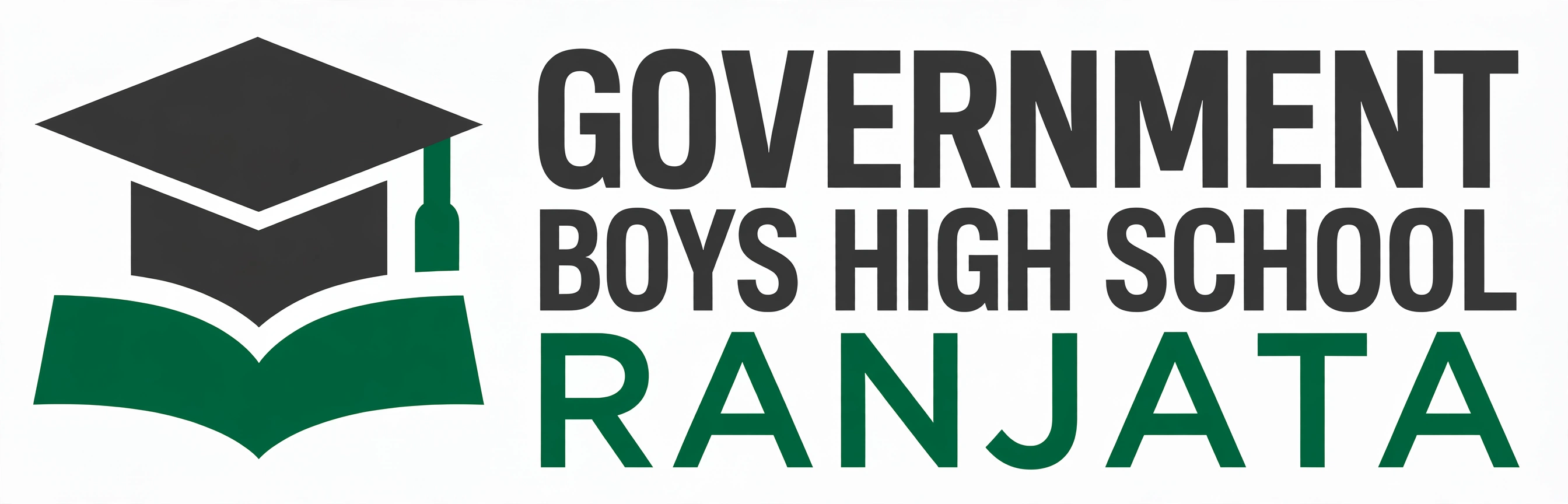 Government Boys High School Ranjata logo